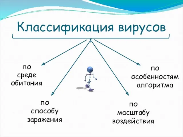 Классификация вирусов по среде обитания по особенностям алгоритма по способу заражения по масштабу воздействия