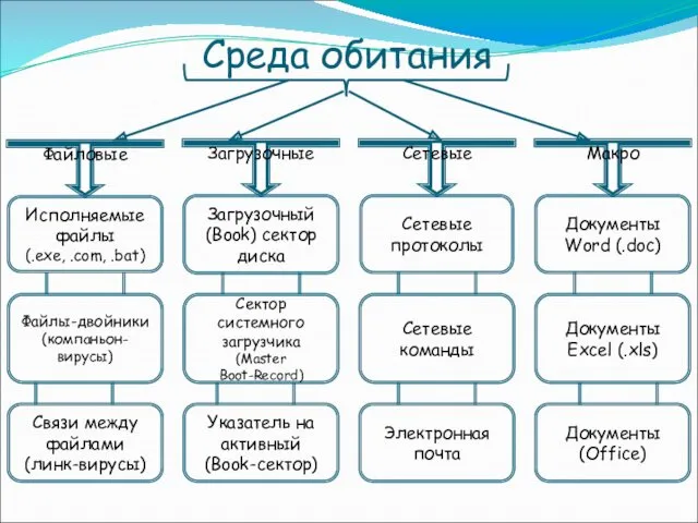 Файловые Исполняемые файлы (.exe, .com, .bat) Файлы-двойники (компаньон-вирусы) Связи между