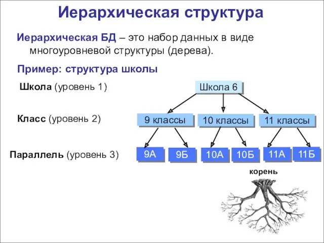 Иерархическая структура Иерархическая БД – это набор данных в виде