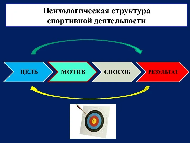 Психологическая структура спортивной деятельности