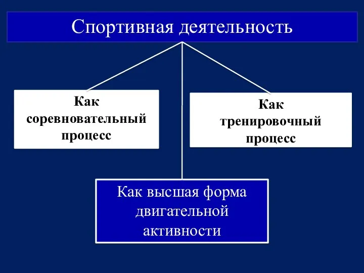 Спортивная деятельность Как высшая форма двигательной активности Как тренировочный процесс Как соревновательный процесс