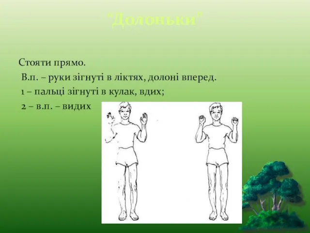 “Долоньки” Стояти прямо. В.п. – руки зігнуті в ліктях, долоні