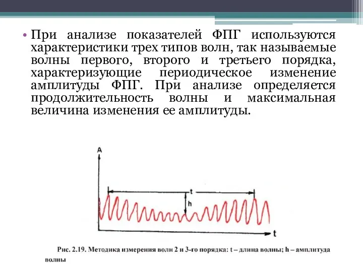 При анализе показателей ФПГ используются характеристики трех типов волн, так