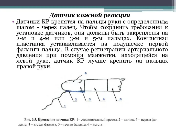 Датчик кожной реакции Датчики КР крепятся на пальцы руки с