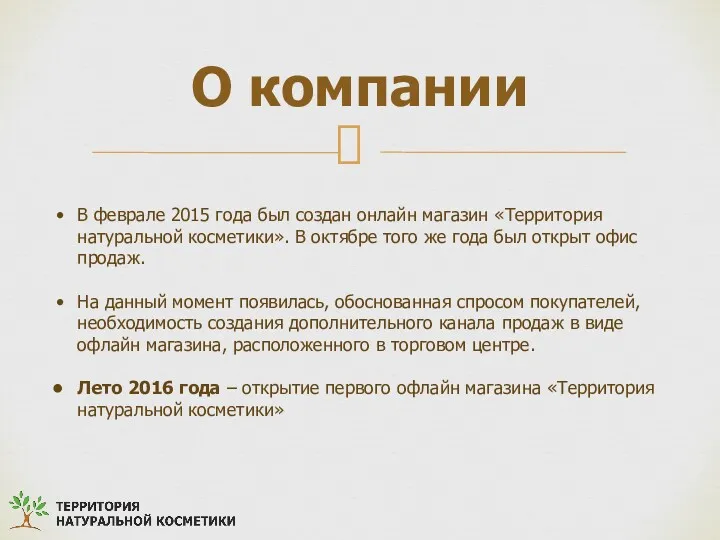 О компании В феврале 2015 года был создан онлайн магазин