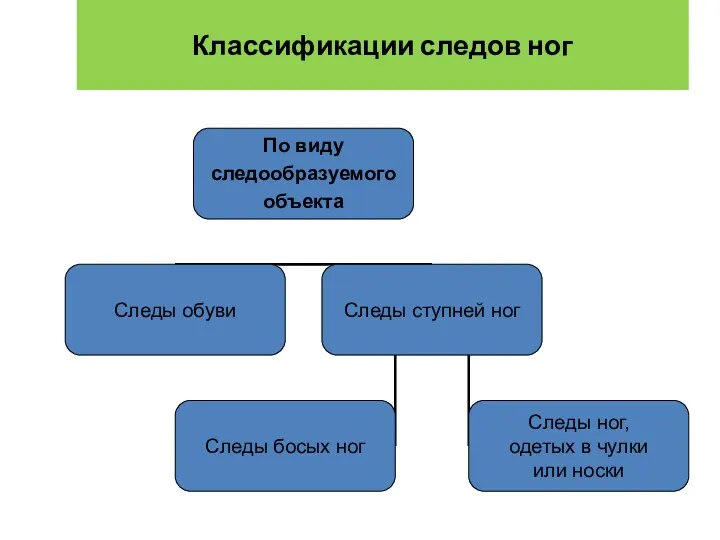 Классификации следов ног