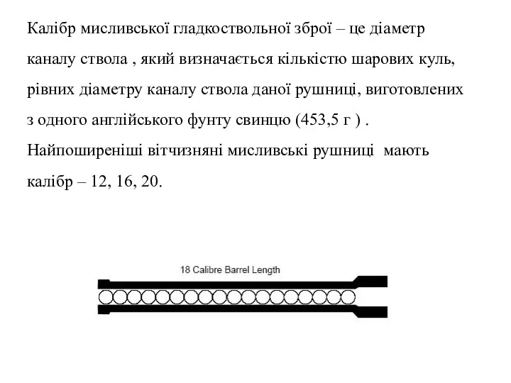 Калібр мисливської гладкоствольної зброї – це діаметр каналу ствола ,