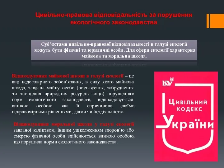 Цивільно-правова відповідальність за порушення екологічного законодавства Суб’єктами цивільно-правової відповідальності в