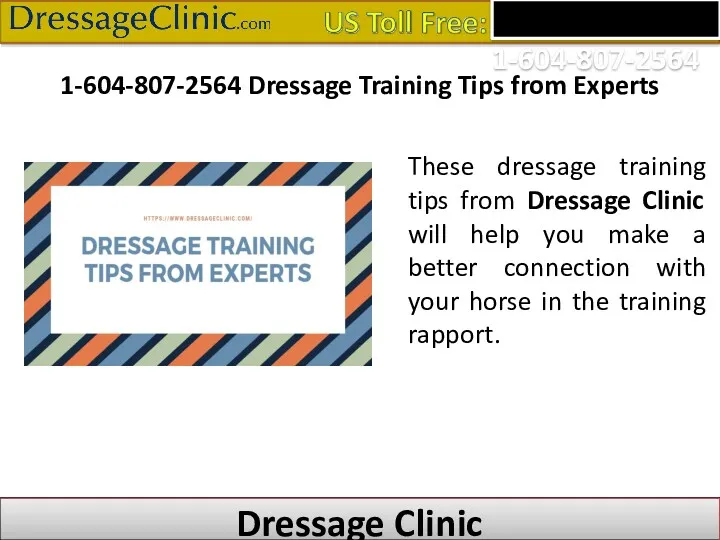 1-604-807-2564 Dressage Training Tips from Experts These dressage training tips