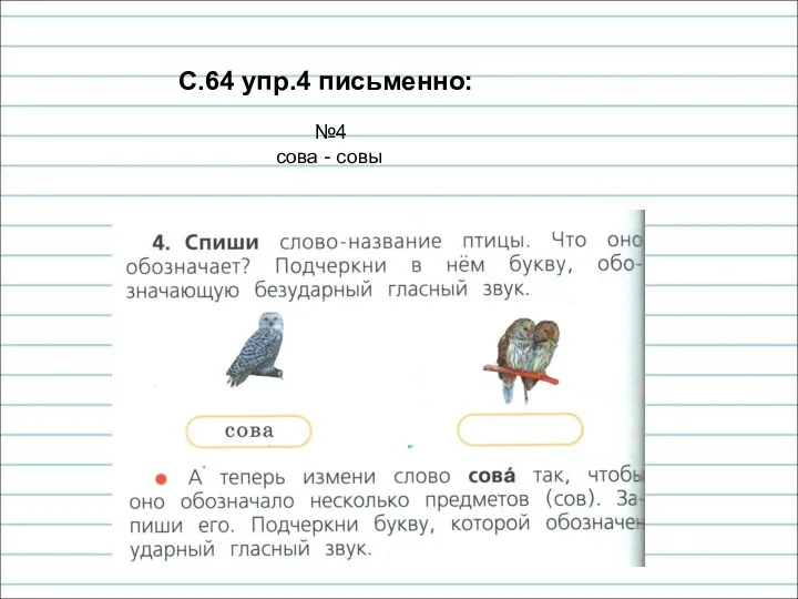 С.64 упр.4 письменно: №4 сова - совы