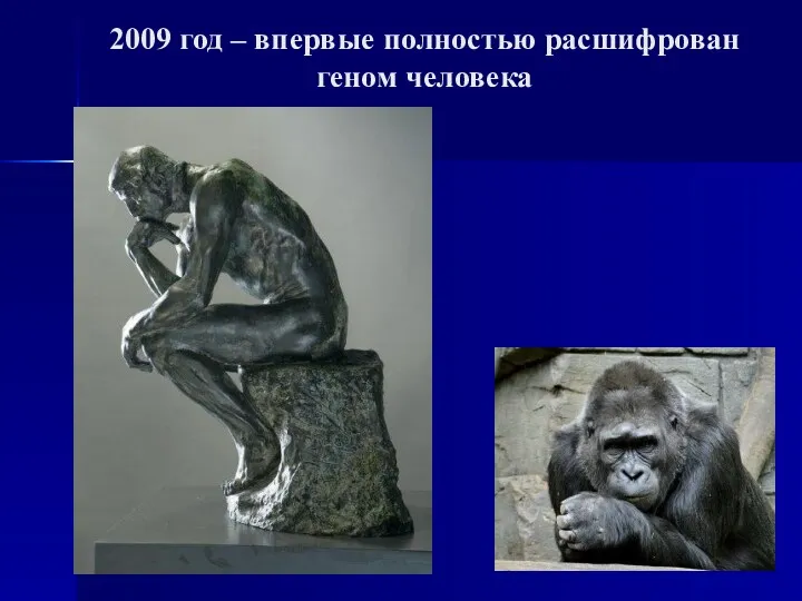 2009 год – впервые полностью расшифрован геном человека