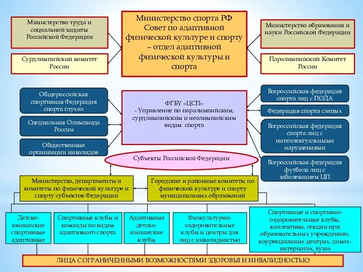 Министерство спорта РФ Совет по адаптивной физической культуре и спорту