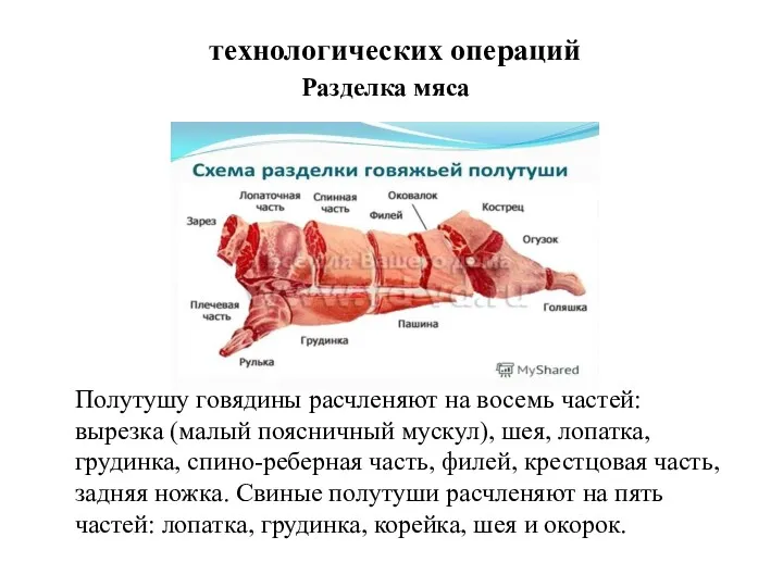 технологических операций Разделка мяса Полутушу говядины расчленяют на восемь частей: вырезка (малый поясничный