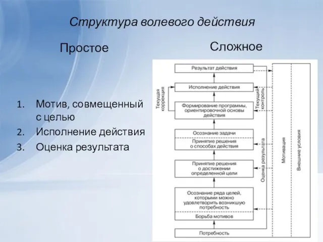 Структура волевого действия Простое Мотив, совмещенный с целью Исполнение действия Оценка результата Сложное