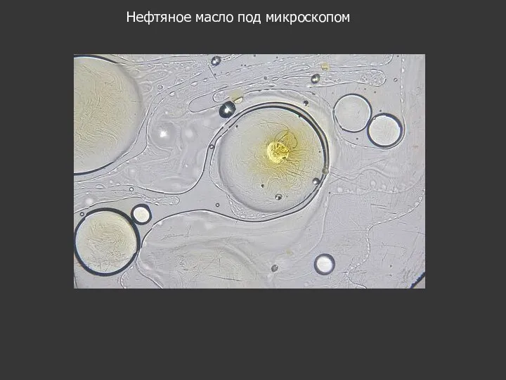 Нефтяное масло под микроскопом