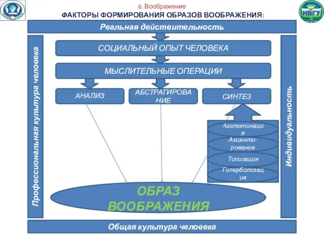 6. Воображение ФАКТОРЫ ФОРМИРОВАНИЯ ОБРАЗОВ ВООБРАЖЕНИЯ: Реальная действительность Общая культура