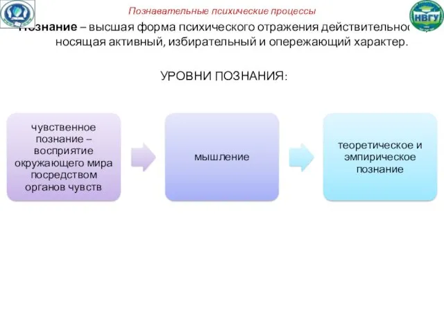 Познавательные психические процессы Познание – высшая форма психического отражения действительности,