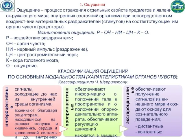 1. Ощущения Ощущение – процесс отражения отдельных свойств предметов и