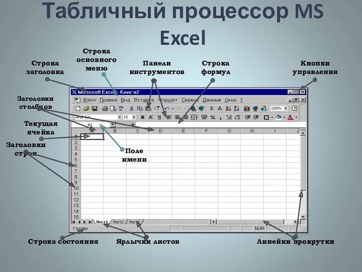 Табличный процессор MS Excel