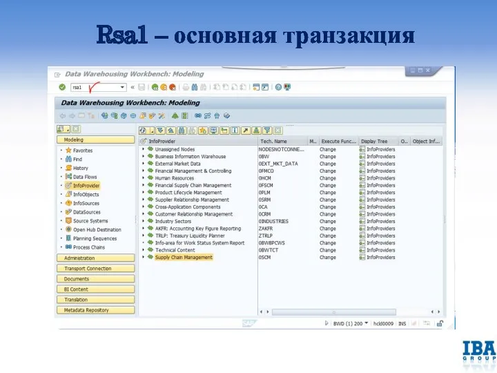 Rsa1 – основная транзакция