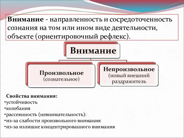 Внимание - направленность и сосредоточенность сознания на том или ином