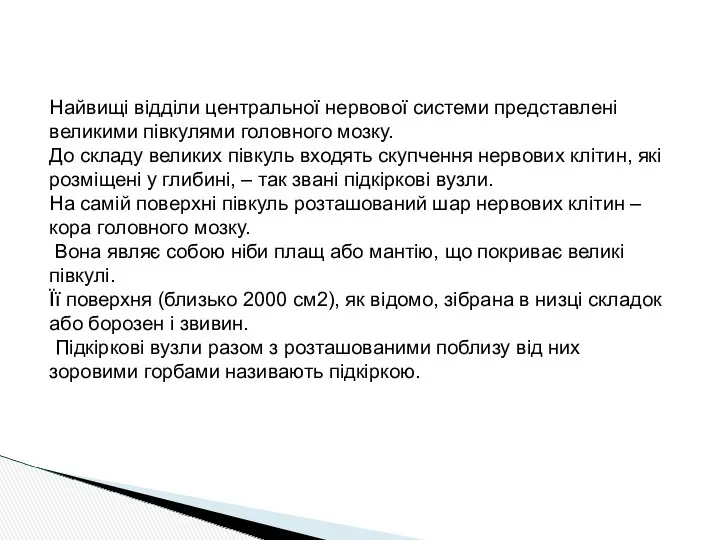 Найвищі відділи центральної нервової системи представлені великими півкулями головного мозку.