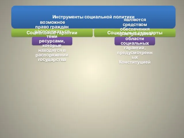 Инструменты социальной политики Социальные гарантии возможное право граждан распоряжаться теми