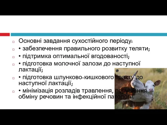 Основні завдання сухостійного періоду: • забезпечення правильного розвитку теляти; • підтримка оптимальної вгодованості;