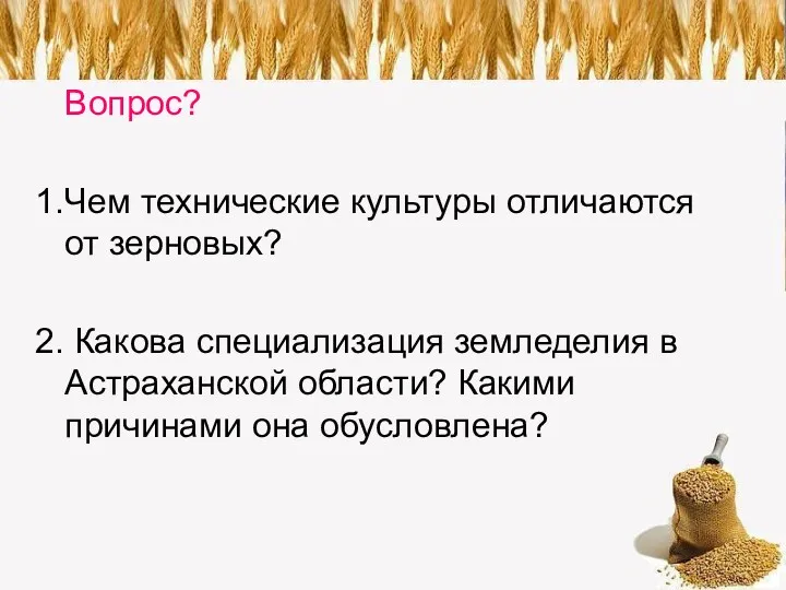 Вопрос? 1.Чем технические культуры отличаются от зерновых? 2. Какова специализация