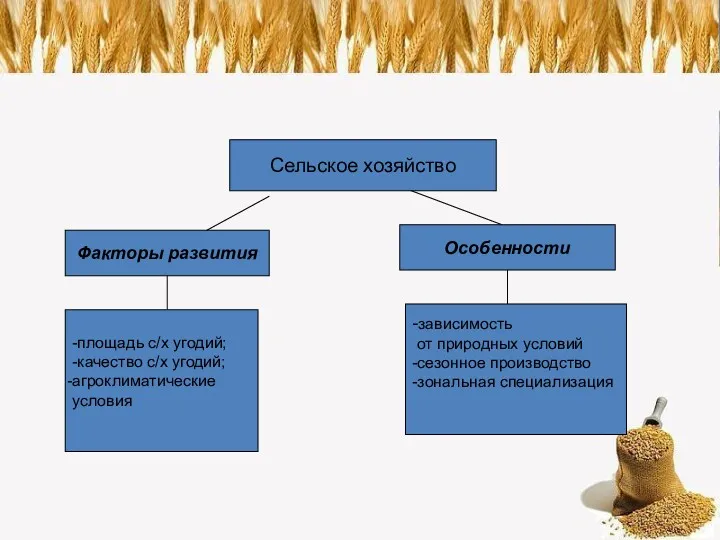 Сельское хозяйство Факторы развития Особенности -площадь с/х угодий; -качество с/х