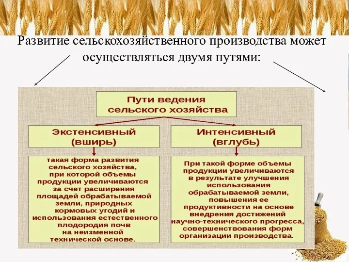 Развитие сельскохозяйственного производства может осуществляться двумя путями: Экстенсивным Интенсивным