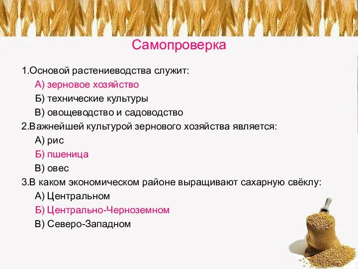 Самопроверка 1.Основой растениеводства служит: А) зерновое хозяйство Б) технические культуры