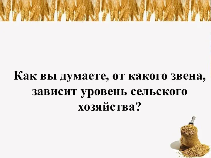 Как вы думаете, от какого звена, зависит уровень сельского хозяйства?