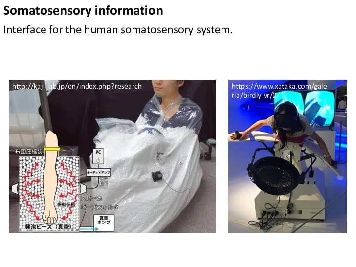 Somatosensory information https://www.xataka.com/galeria/birdly-vr/2/ http://kaji-lab.jp/en/index.php?research Interface for the human somatosensory system.