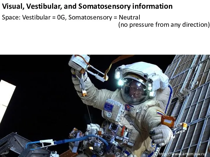 Visual, Vestibular, and Somatosensory information Space: Vestibular = 0G, Somatosensory = Neutral http://www.artemjew.ru/
