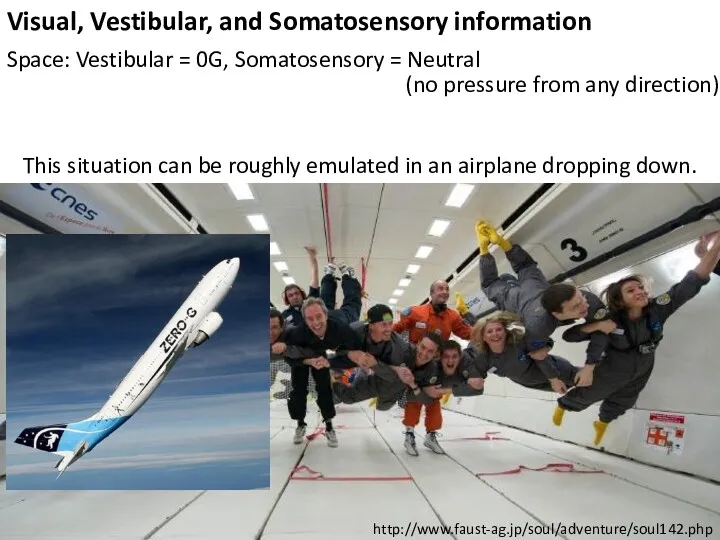 Visual, Vestibular, and Somatosensory information Space: Vestibular = 0G, Somatosensory = Neutral (no