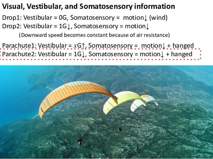 Visual, Vestibular, and Somatosensory information Drop1: Vestibular = 0G, Somatosensory = motion↓ (wind)