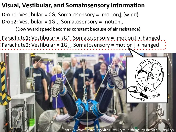 Visual, Vestibular, and Somatosensory information http://www.ultravr.org/virtualreality/top-things-to-do-virtual-reality/ Drop1: Vestibular = 0G, Somatosensory = motion↓