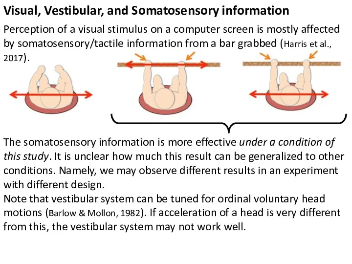 Visual, Vestibular, and Somatosensory information Perception of a visual stimulus on a computer