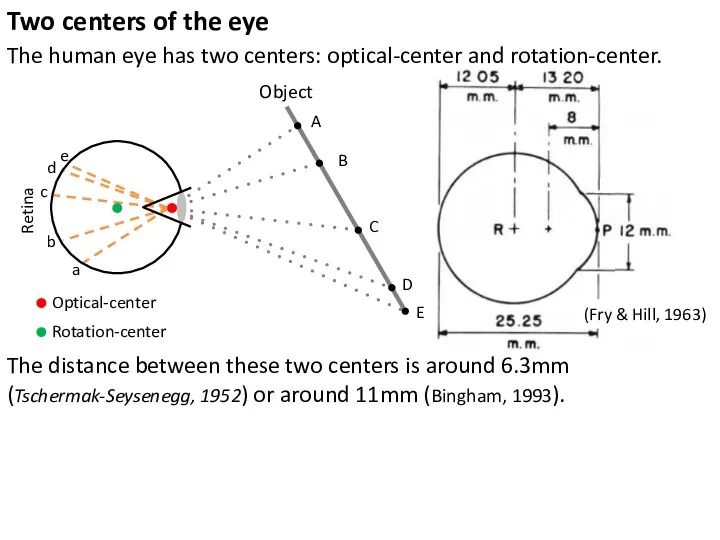 The human eye has two centers: optical-center and rotation-center. Retina Object A B