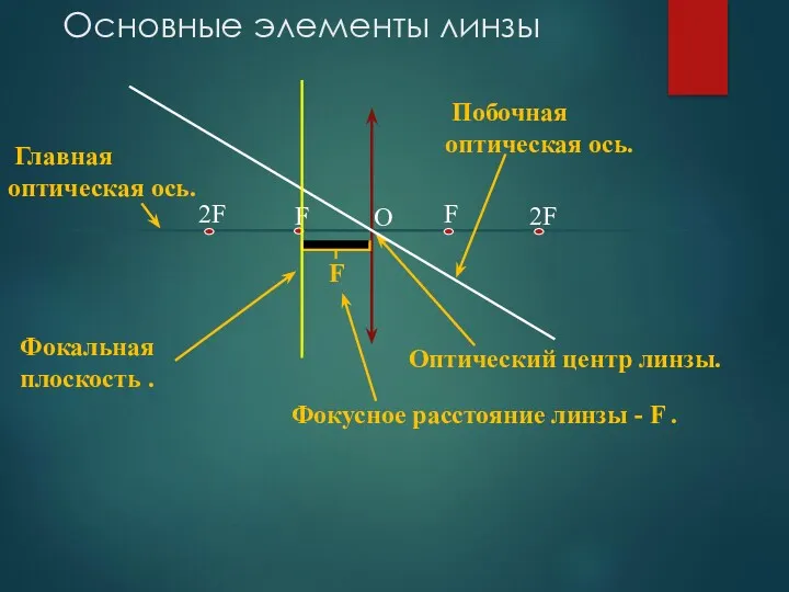 Основные элементы линзы F F O 2F 2F F Главная