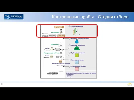 Контрольные пробы – Стадия отбора