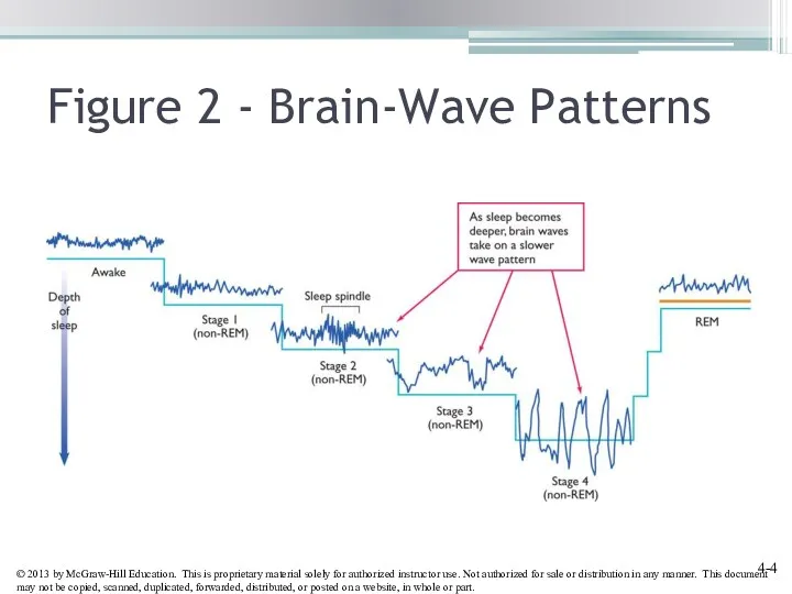 Figure 2 - Brain-Wave Patterns