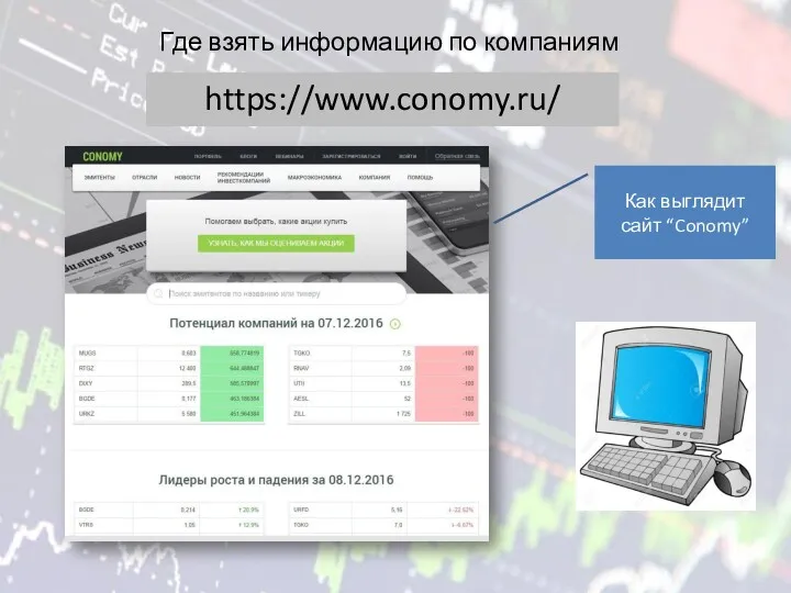 Где взять информацию по компаниям https://www.conomy.ru/ Как выглядит сайт “Conomy”
