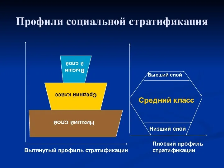 Профили социальной стратификация Низший слой Средний класс Высший слой Вытянутый профиль стратификации Плоский профиль стратификации