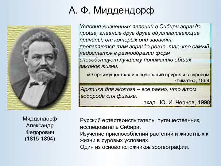 А. Ф. Миддендорф Миддендорф Александр Федорович (1815-1894) Русский естествоиспытатель, путешественник,