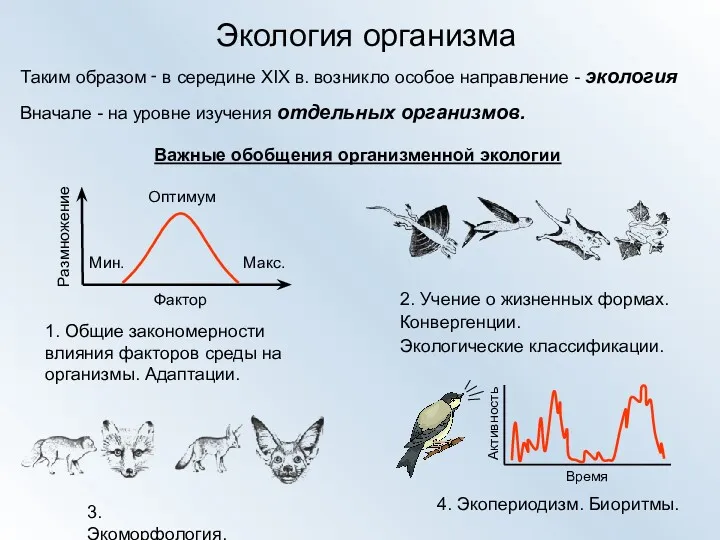 Экология организма Таким образом ‑ в середине XIX в. возникло