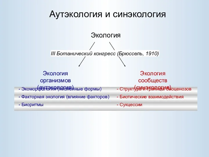 Аутэкология и синэкология Экология Экология организмов (аутэкология) Экология сообществ (синэкология)