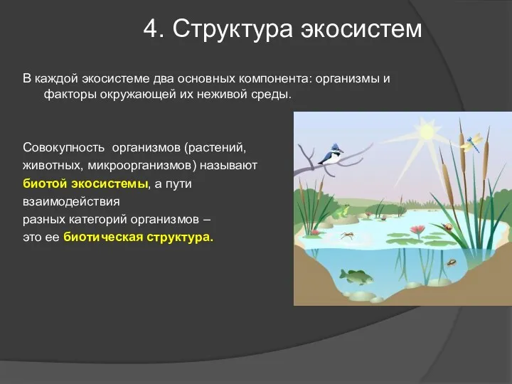 В каждой экосистеме два основных компонента: организмы и факторы окружающей