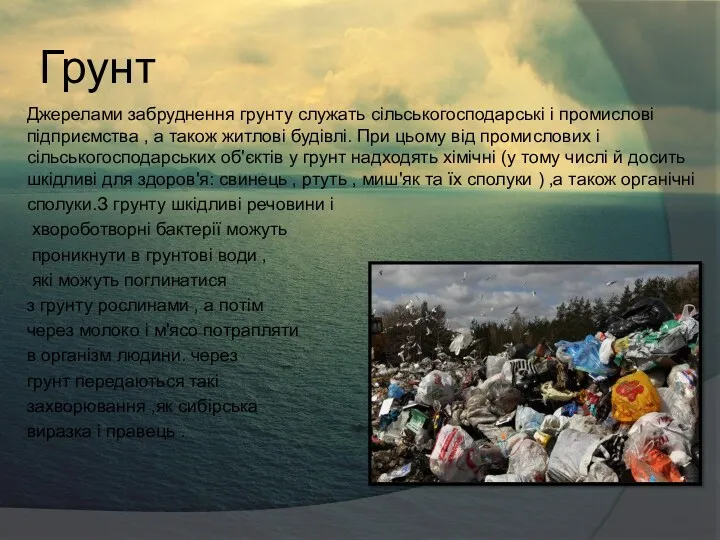 Грунт Джерелами забруднення грунту служать сільськогосподарські і промислові підприємства ,